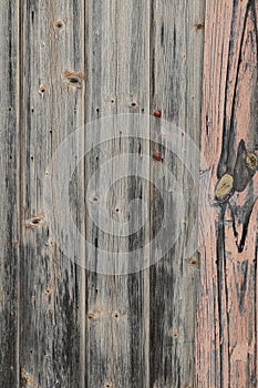 Weathered wooden fence palings abstract textured background