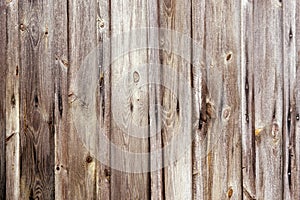 Weathered wooden fence texture with rusty nail heads
