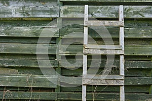 Weathered wooden ladder leaning on wooden slats