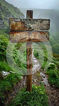 A weathered wooden signpost in a rural setting pointing in multiple directions