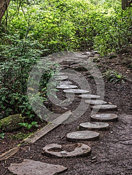 Weathered wooden stairs in the forest