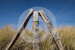 weathered wooden stakes from a fence stand in a triangle in front of the sand dunes with marran grass on the beach of the Baltic photo