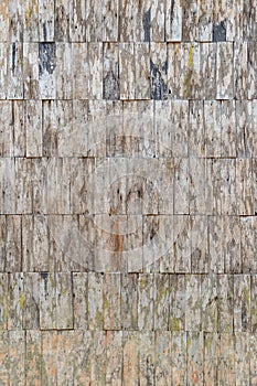 Weathered wooden wall with lichen