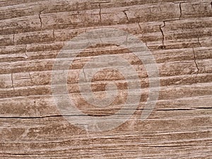 Weathered Woodgrain background