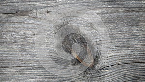 Weathered Woodgrained Background