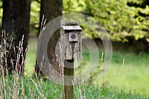 Weathered worn bluebird house along the farmer\'s field Sugar Run Pennsylvania