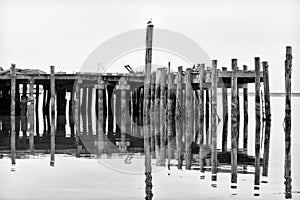 Resistido a muelle sobre el bahía 