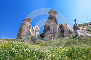 Weathering figures, the Valley of Love, Cappadocia, Turkey photo