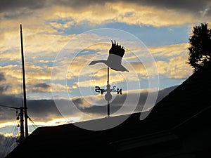 Weathervane