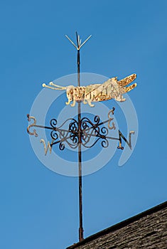 Weathervane with a grasshopper