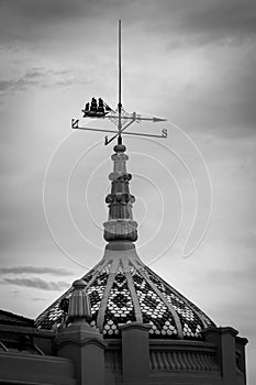 Weathervane and lighting rod