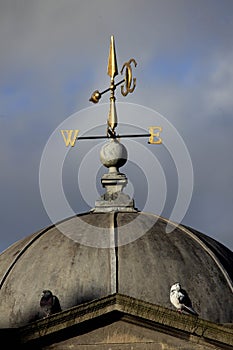 Weathervane on Pulteney Bridge, Bath