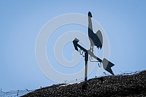 Weathervane silhouette of a rooster