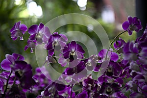 Weave basket background with light shinning through