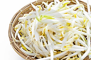 Weave basket with Mungbean Sprouts. photo