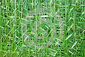 Weave deinterlace weave hand craft