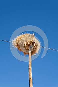 Weaver bird nest on an old Utility pole on the roadside in Namibia