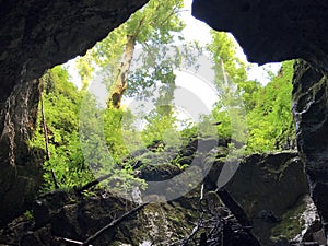 Weaver Cave, Tkalca jama or Tkalca cave TkalÄa jama, Cerknica - Notranjska Regional Park, Slovenia