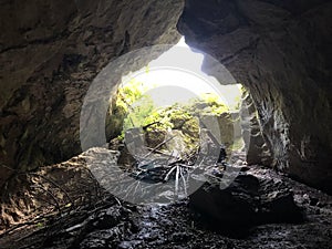 Weaver Cave, Tkalca jama or Tkalca cave TkalÄa jama, Cerknica - Notranjska Regional Park, Slovenia