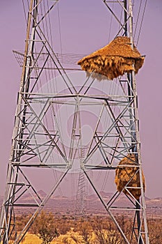Weaver nest pylon.