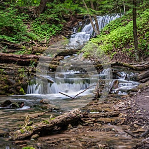 Weavers Creek Falls with logs and rocks