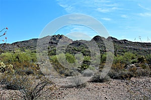 Weavers Needle Vista Viewpoint, Apache Junction, Arizona, United States