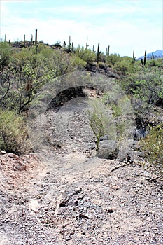 Weavers Needle Vista Viewpoint, Apache Junction, Arizona, United States