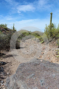 Weavers Needle Vista Viewpoint, Apache Junction, Arizona, United States