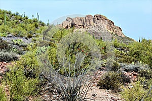 Weavers Needle Vista Viewpoint, Apache Junction, Arizona, United States