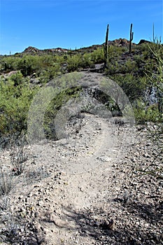 Weavers Needle Vista Viewpoint, Apache Junction, Arizona, United States