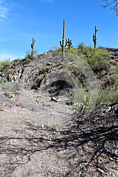 Weavers Needle Vista Viewpoint, Apache Junction, Arizona, United States