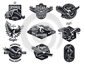 Set of vector eagles. photo