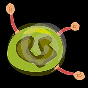 Siphoviridae virus on cyanobacteria, dark background, vector illustration
