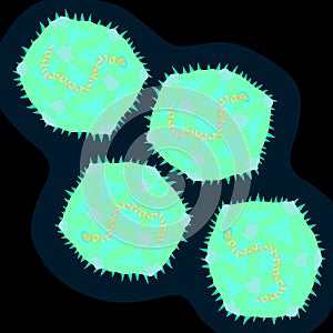 Coxsackievirus on dark background, vector illustration photo