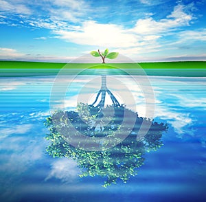 Tree with reflection in water concept for growth, success photo