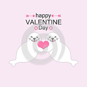 Cute seals couple with heart. Valentine`s day card vector illustration.