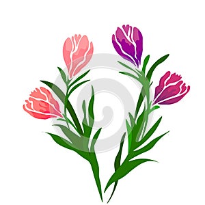 Web. Realistic vector colorful tulips set. Spring flowers background. Bouquet of tulips isolated.