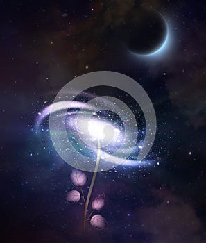 Spiral rose galaxy, abstract love, universe expansion photo