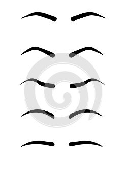 Web Eyebrow shapes. Various types of eyebrows. Classic type and other. Trimming. Vector illustration with different thickness of b