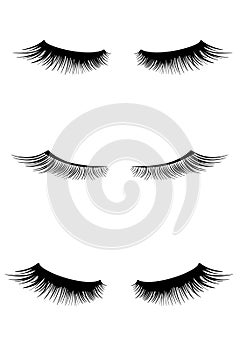 Web Vector realistic collection of false lashes.