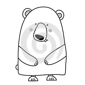 Cute Bear design