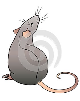 Rat is the symbol of the Chinese horoscope. Rat sits rear view. Mouse - rodent pet color vector picture.