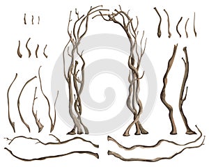 Rustic arch with tree branches and isolated design elements on white background.