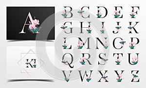 Beautiful alphabet letters collection