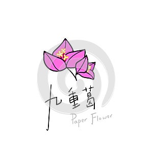 Vector Hand Drawn Paper FlowerÃ¯Â¼ÅiconÃ¯Â¼Åflat style