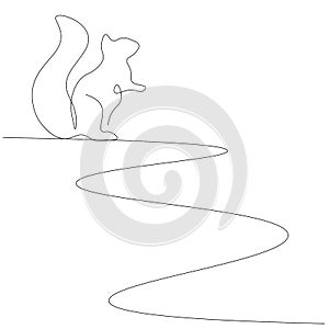 Squirrel silhouette, forest animal vector