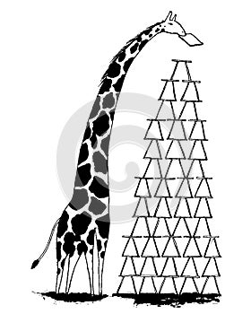 Giraffe builds a tall tower. photo