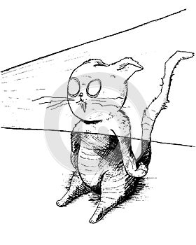 Mesmerized cat. Magic light hypnotized mind of animal. Funny cartoon character. photo
