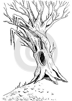 Angry enchanted tree with scary face. Halloween monsters spooky haunted tree.