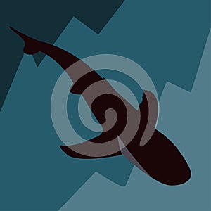 Black shark on the seabed minimalistic illustration logo